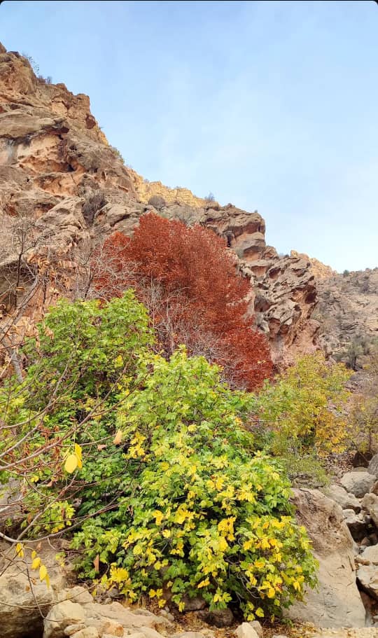 طبیعت رونیز 2