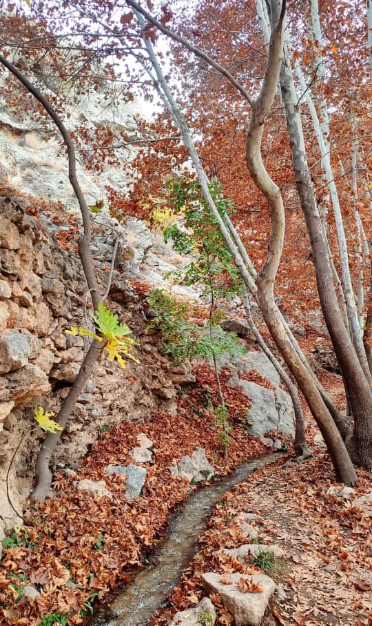 طبیعت رونیز 3